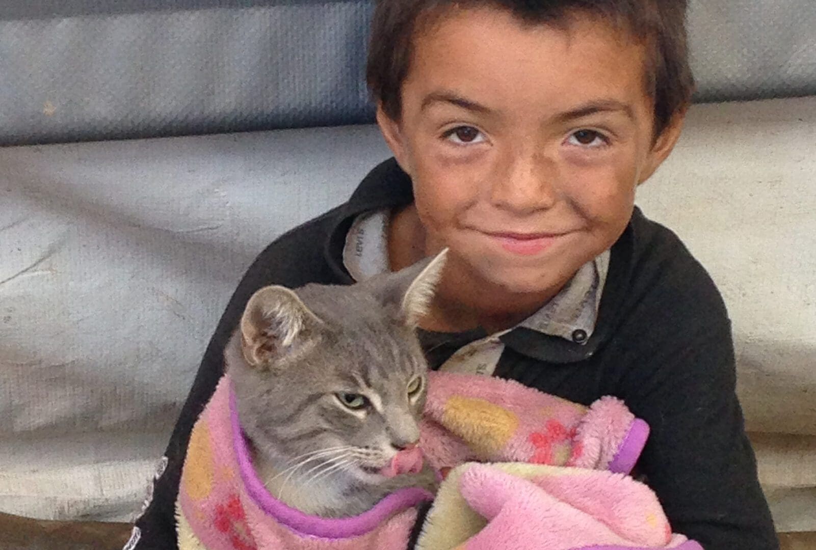 A boy holding a cat wrapped in a blanket.