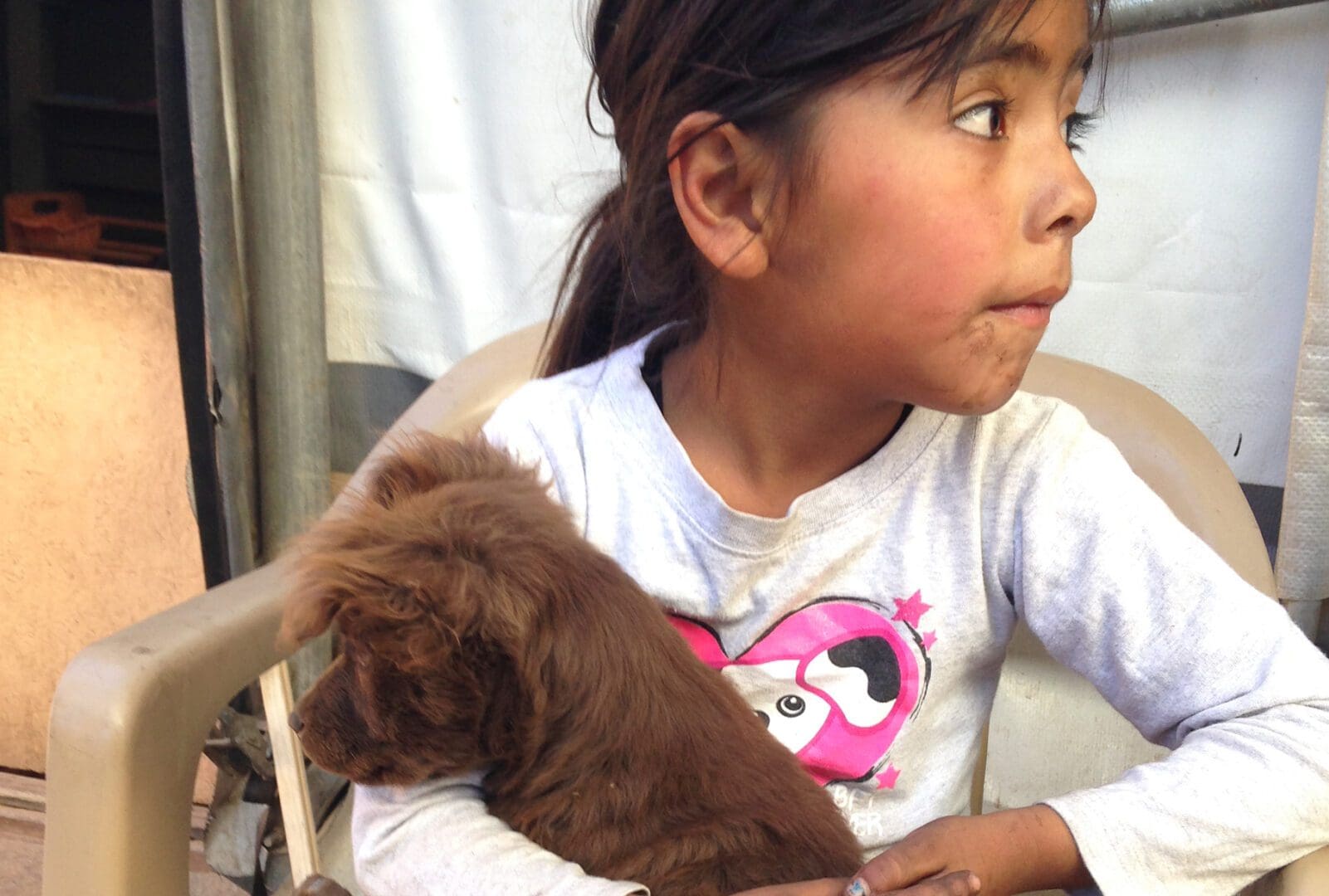 A girl holding onto a brown dog