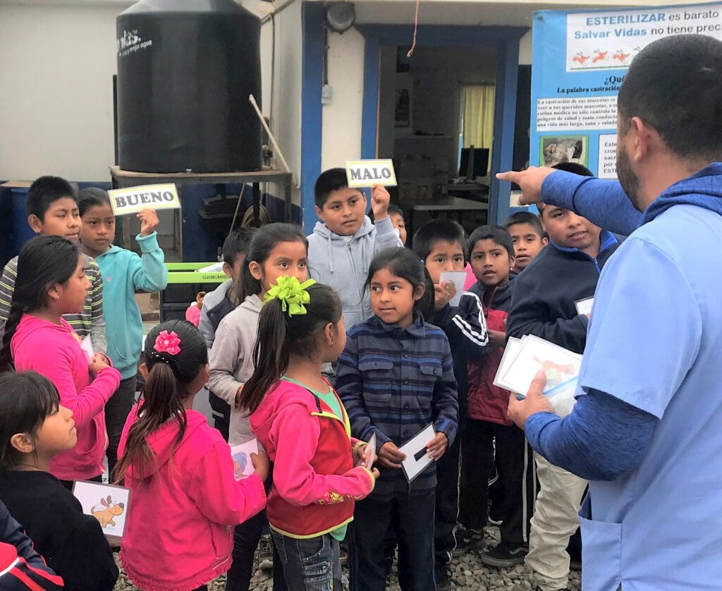 A group of children standing around each other.