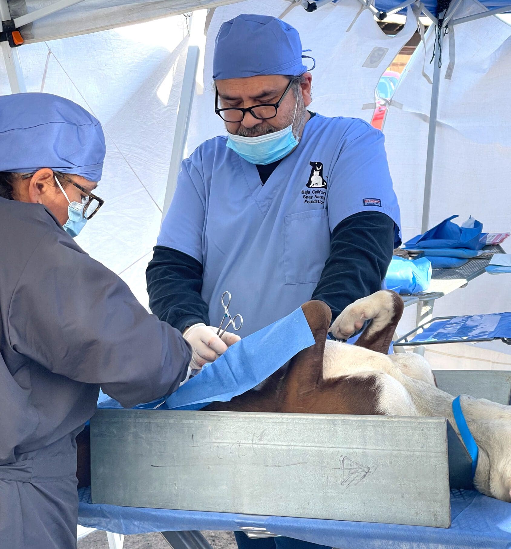 A man in blue scrubs and a woman wearing glasses