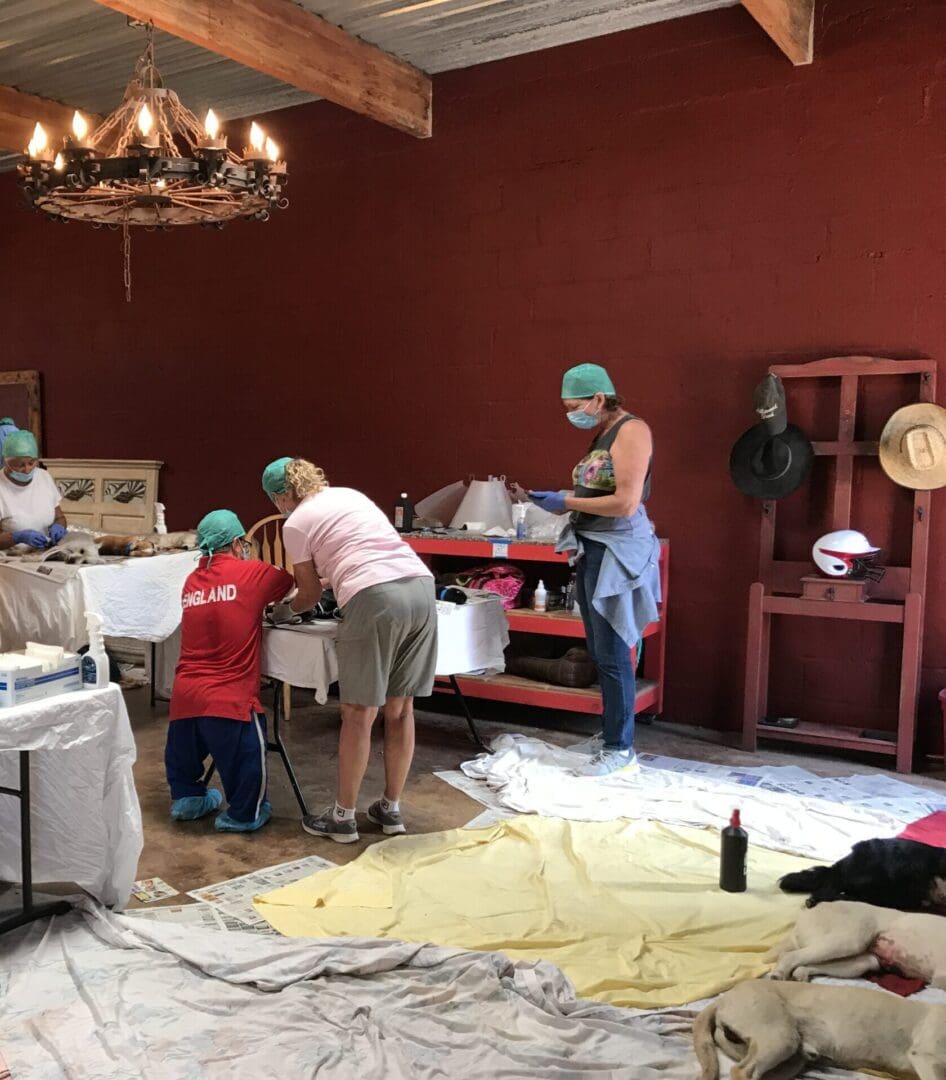 A group of people working on furniture in a room.