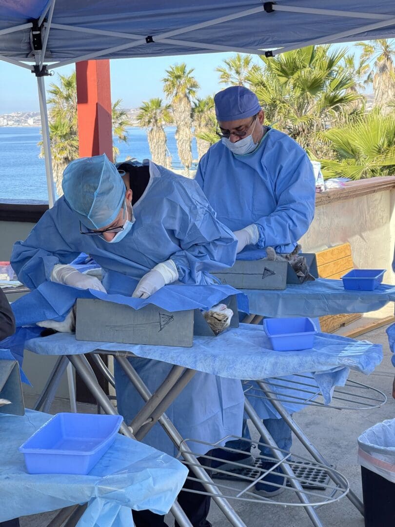 Two people in blue scrubs working on a table.