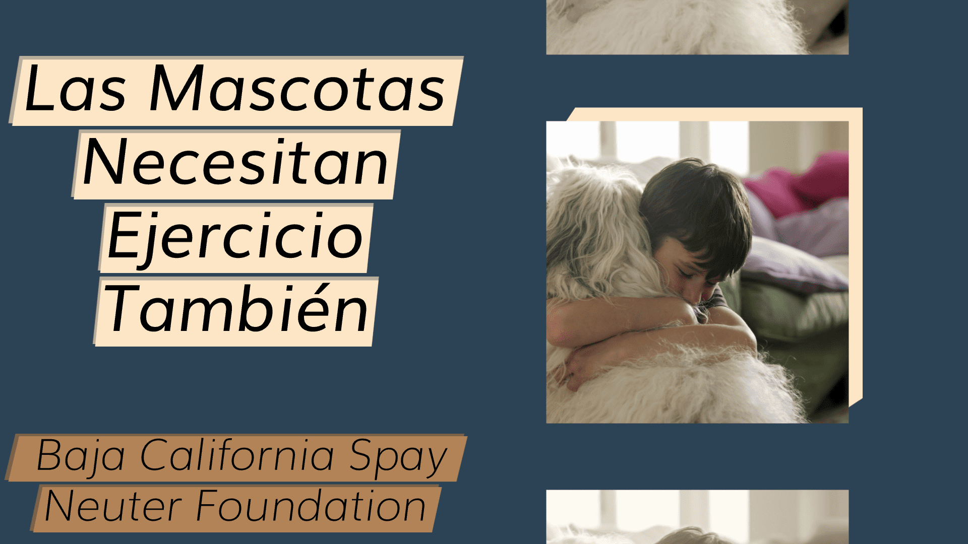 A collage of photos with the words " california spay foundation ".