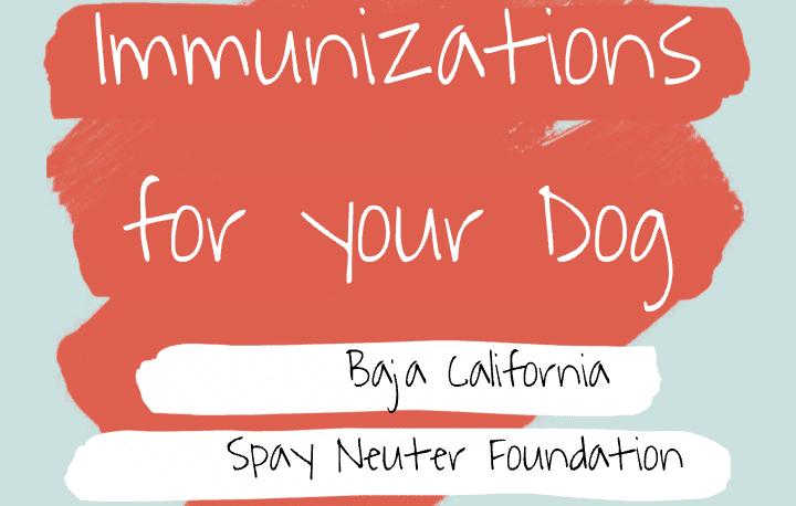 A red background with white text that says immunizations for your dog.